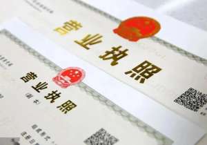 在芜湖公司法人和股东有哪些权限不同？